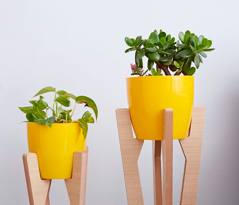 Combo porta macetas Ambar - Manifesto Design Store